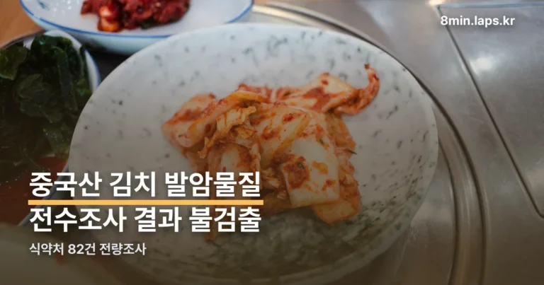 중국산 김치 발암물질 정리 썸네일