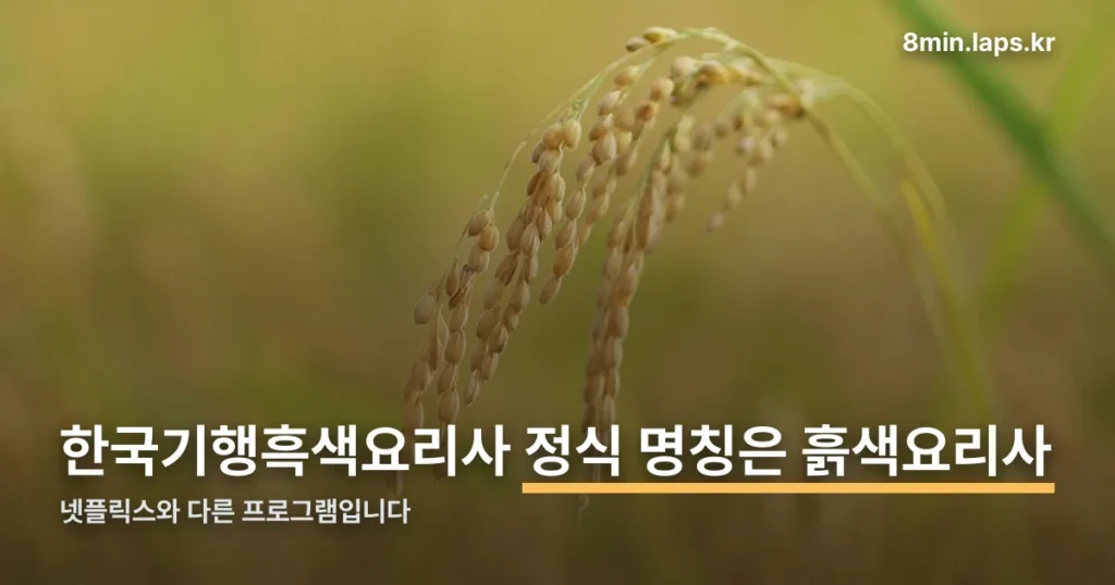 한국기행흑색요리사 정리 썸네일