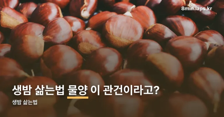 생밤 삶는법 정리 썸네일