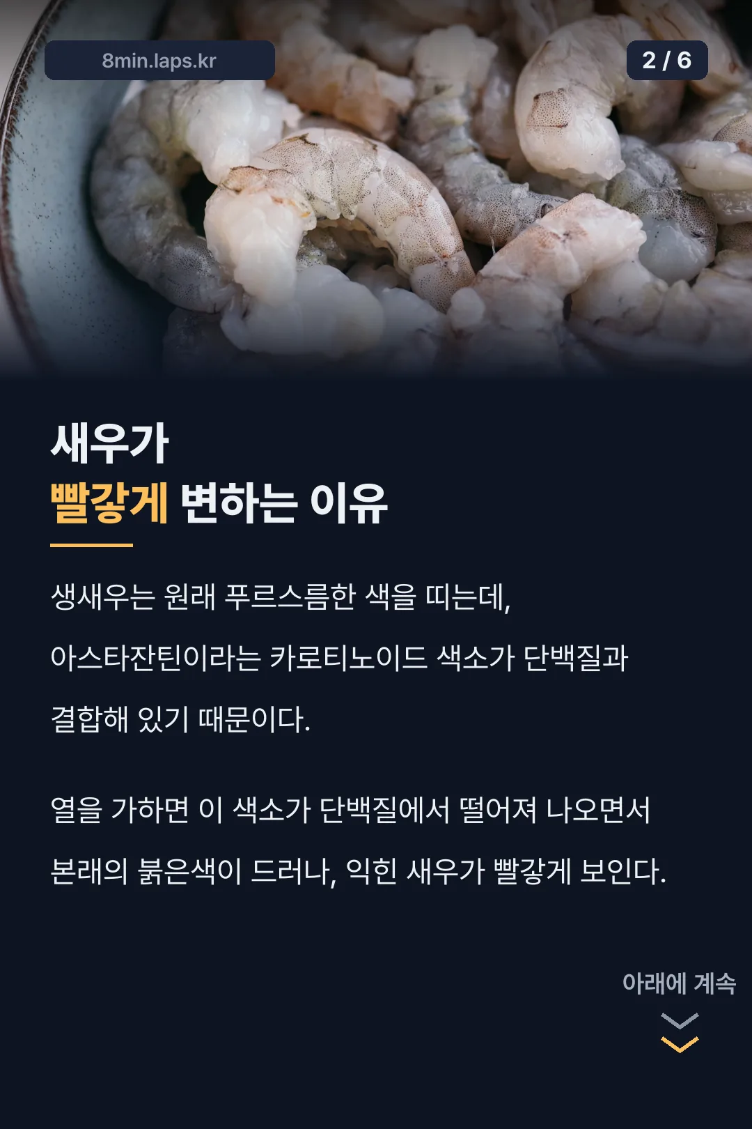 새우가 빨갛게 변하는 이유