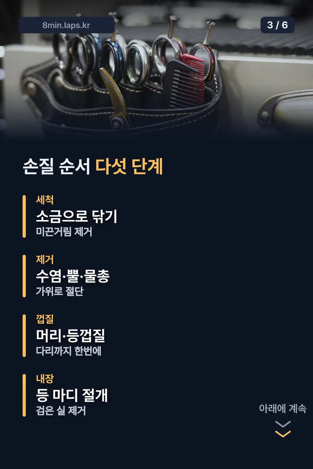 손질 다섯 단계 순서