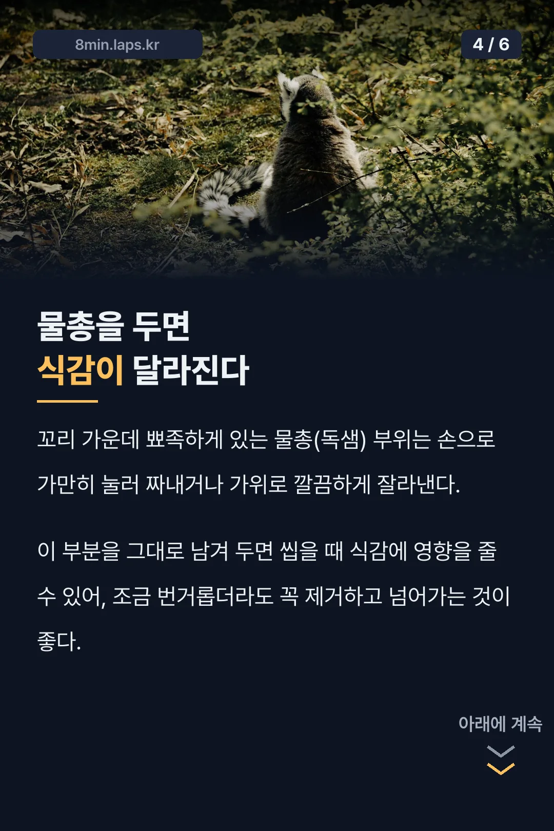 물총 제거의 중요성