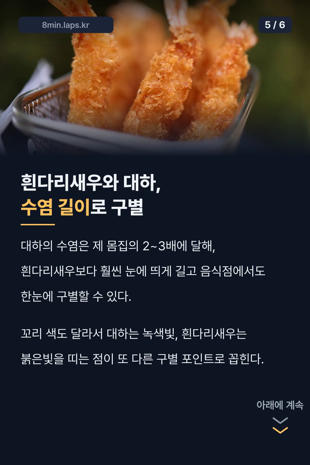 흰다리새우와 대하 구별법
