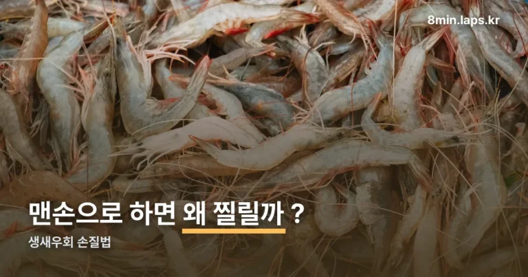 생새우회 손질법 정리 썸네일